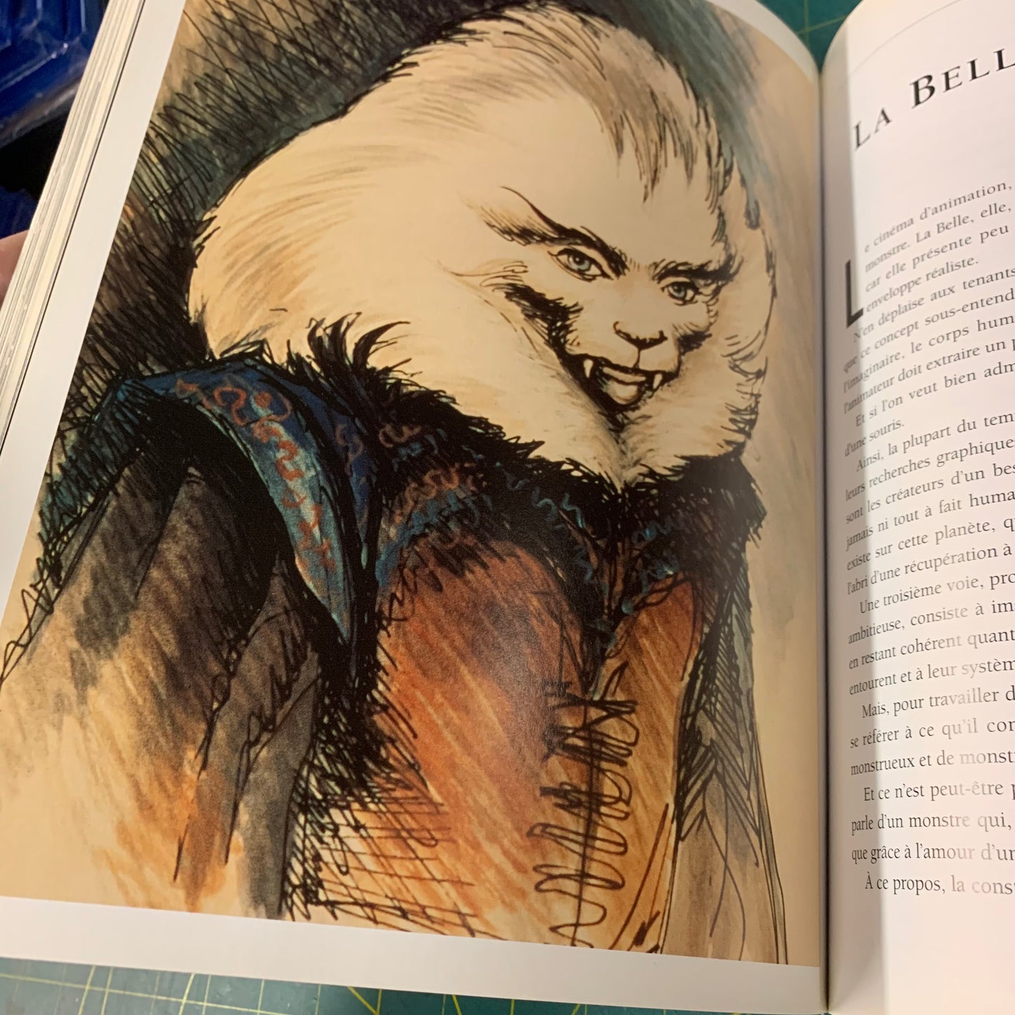Ces dessins qui bougent: 1892-1992, cent ans de cinéma d'animation