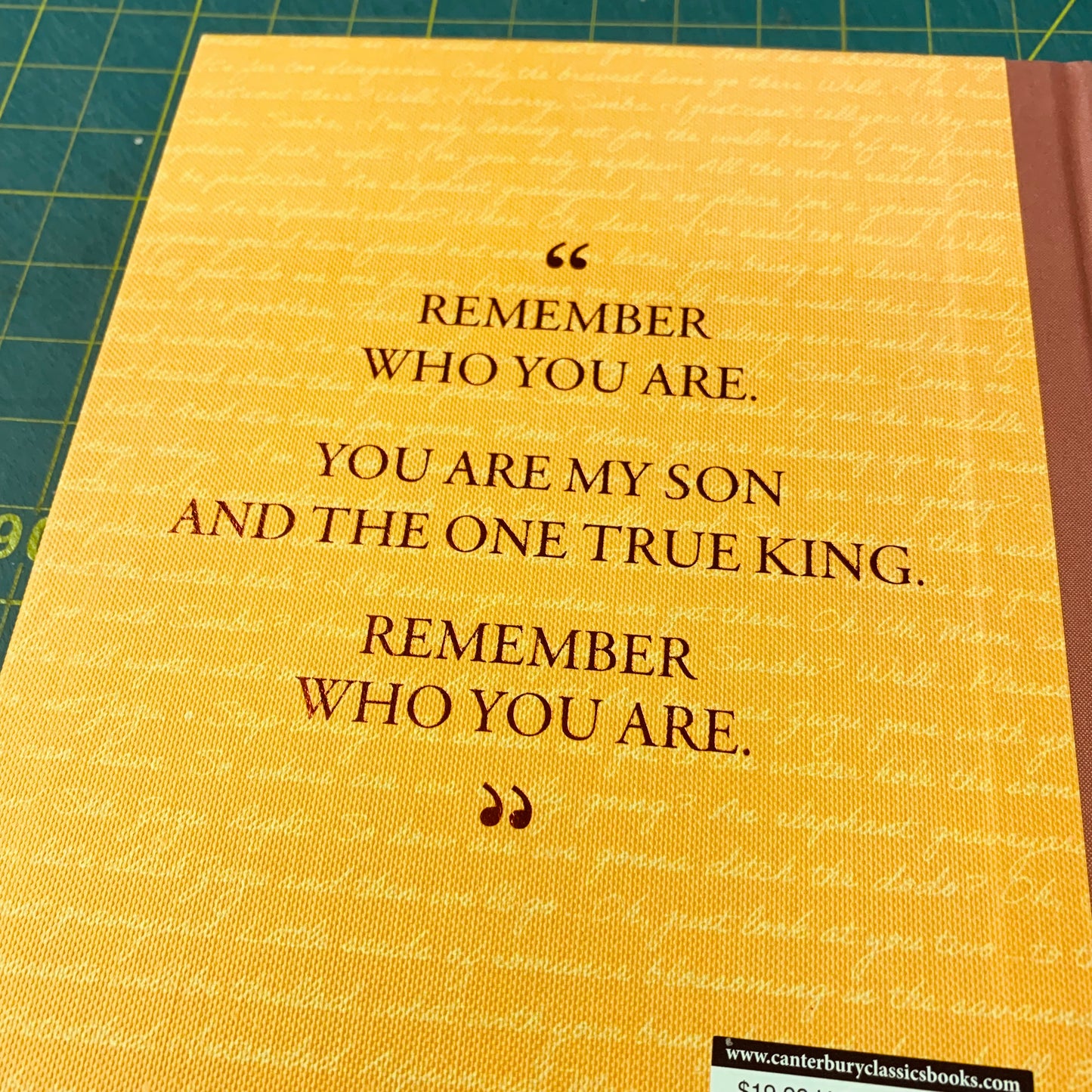 The Lion King — The Full Film Script