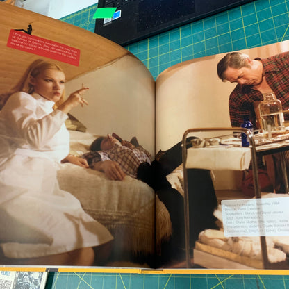 The Cult Films of Brigitte Lahaie