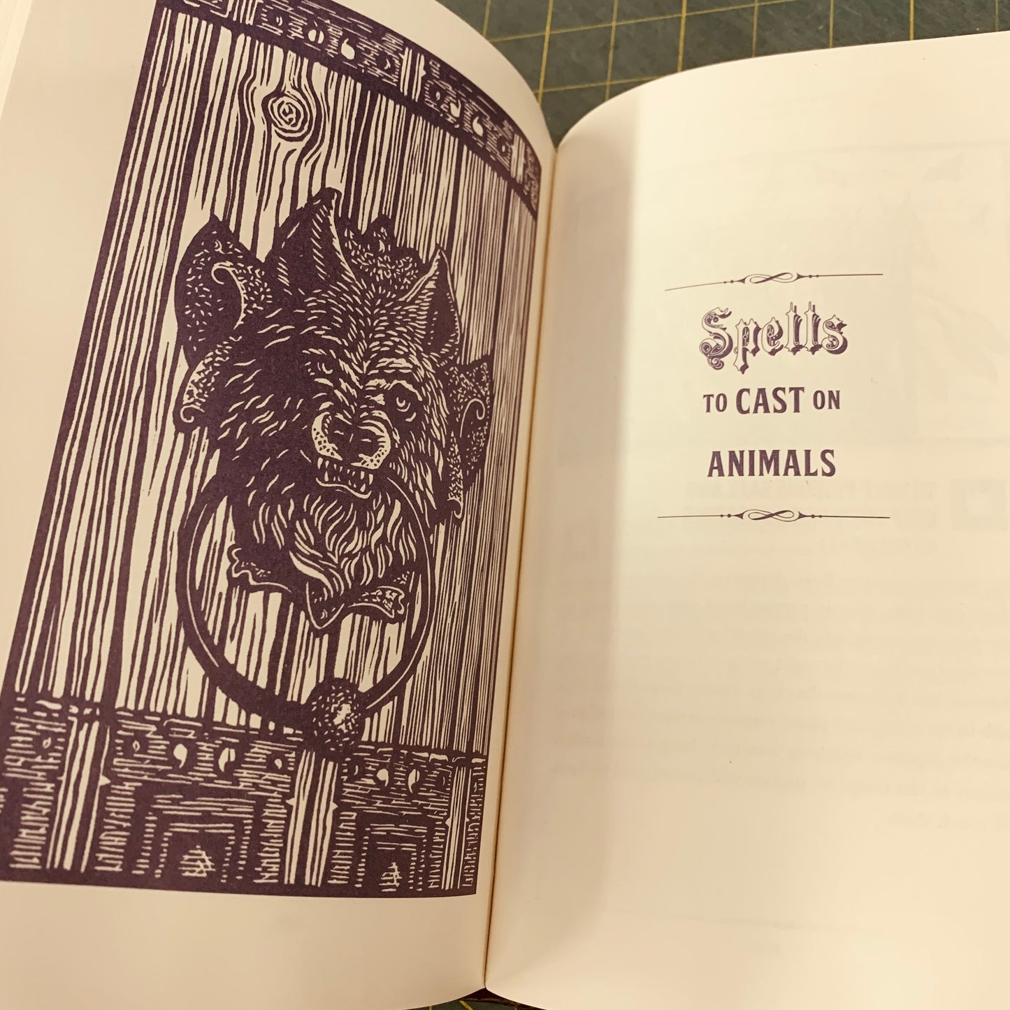 Witchcraft — Handbook of Magic, Spells ans Potions