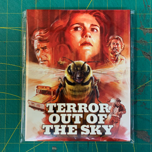 Terror Out of the Sky (1978)