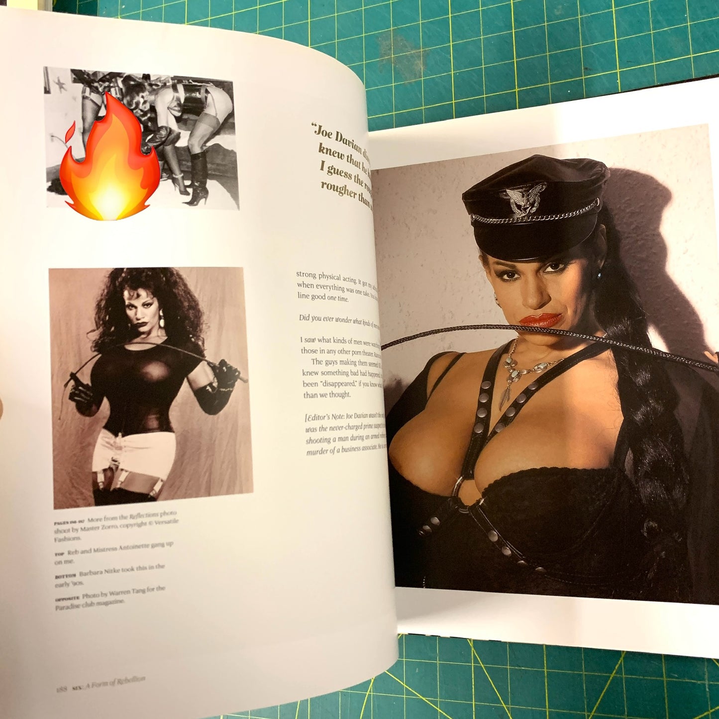 Vanessa del Rio - Fifty years of slightly slutty behavior (Incl. DVD)