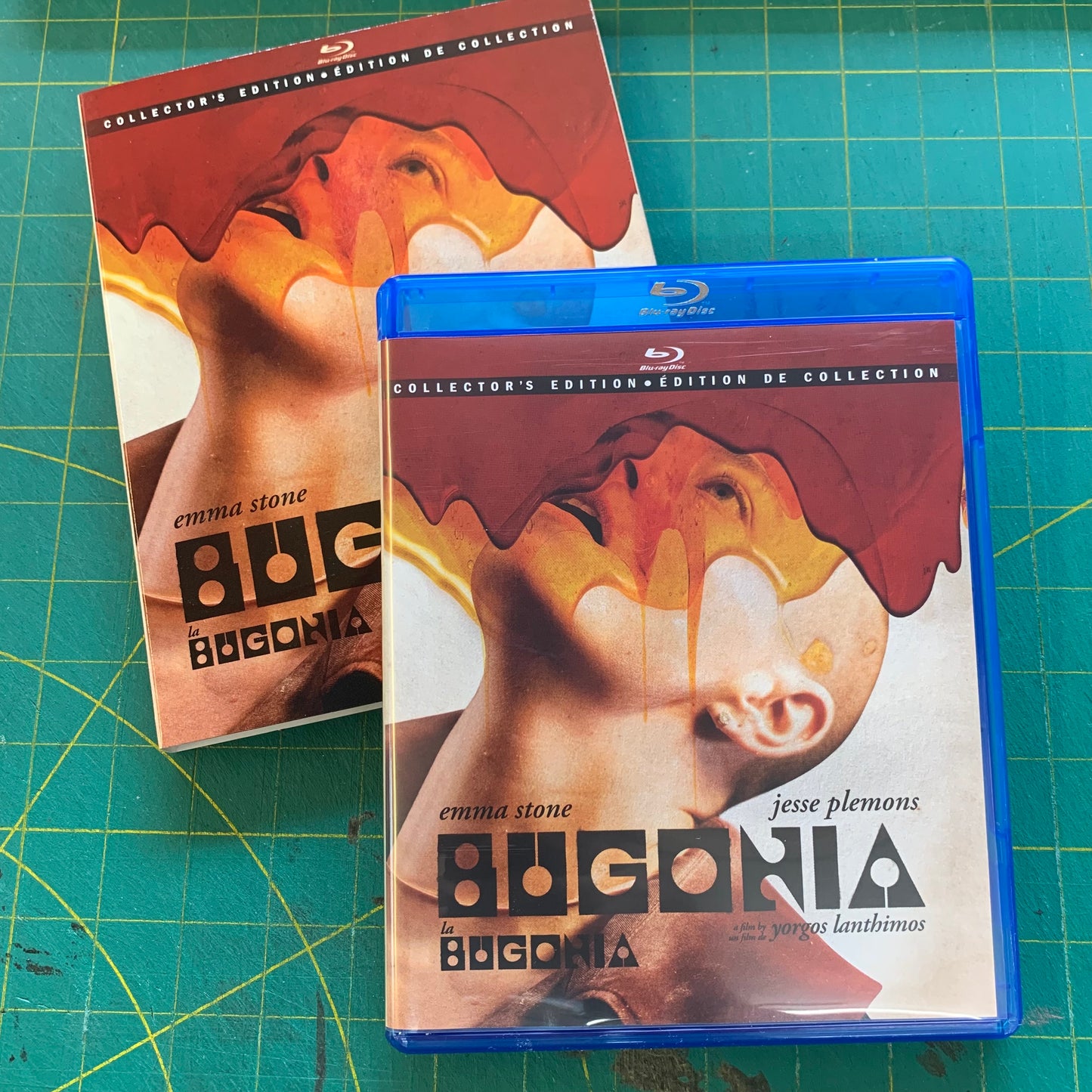 Bugonia (VF)