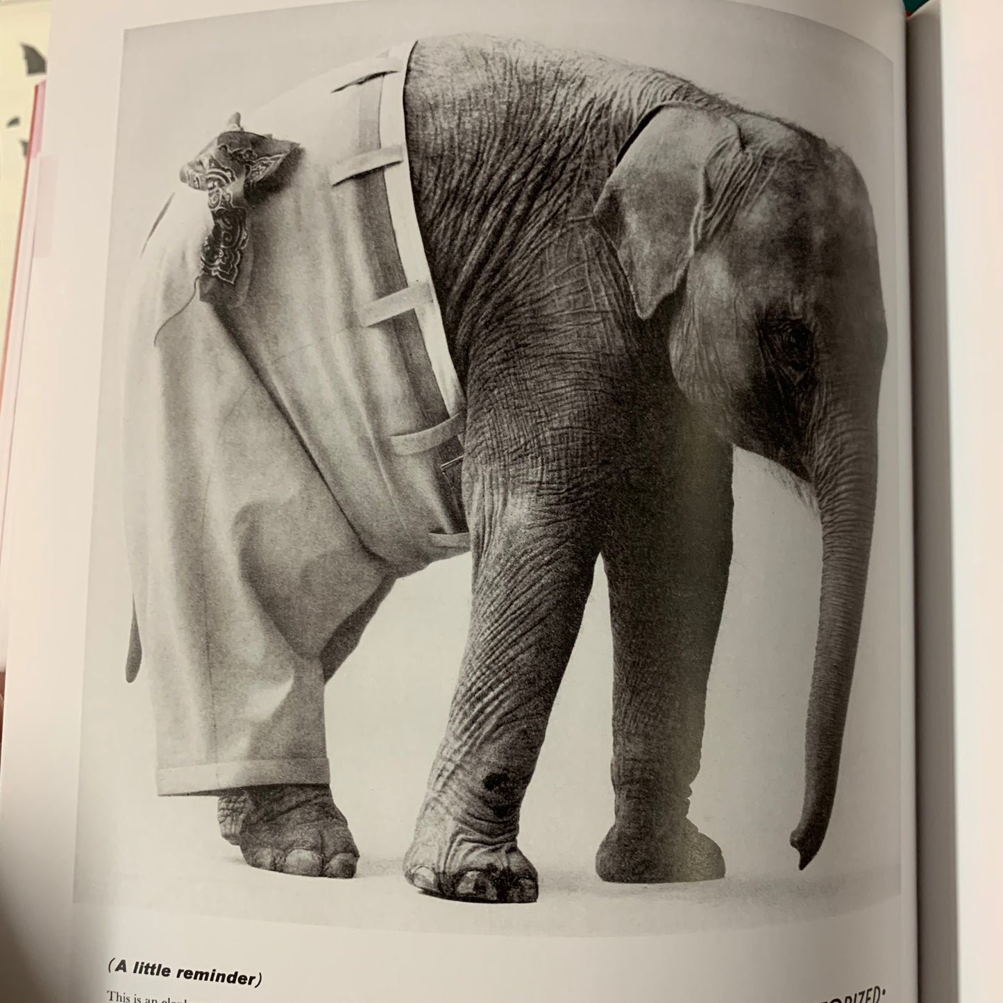 Fashion — Ads of the 20th Century