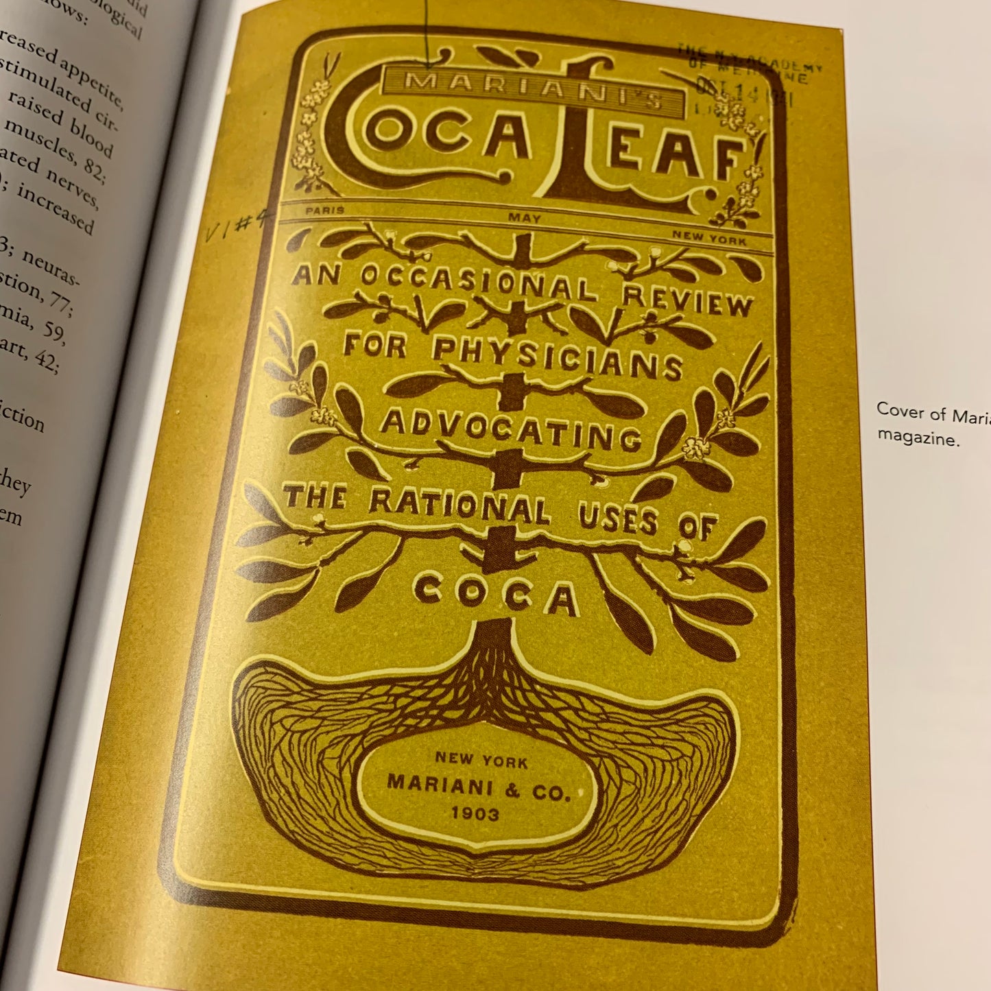 Coca Wine — Angelo Mariani’s Miraculous Elixir