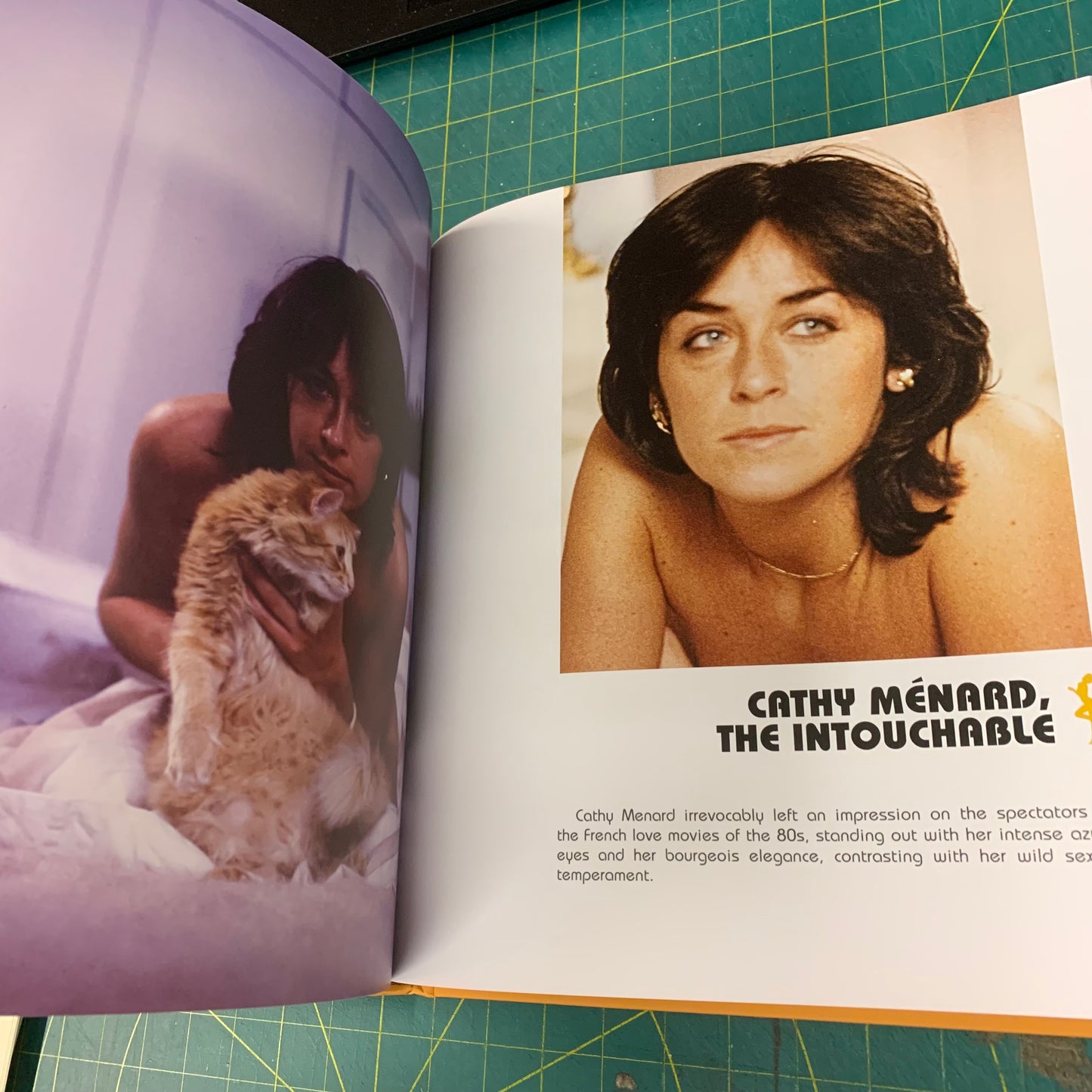 The Cult Films of Marilyn Jess