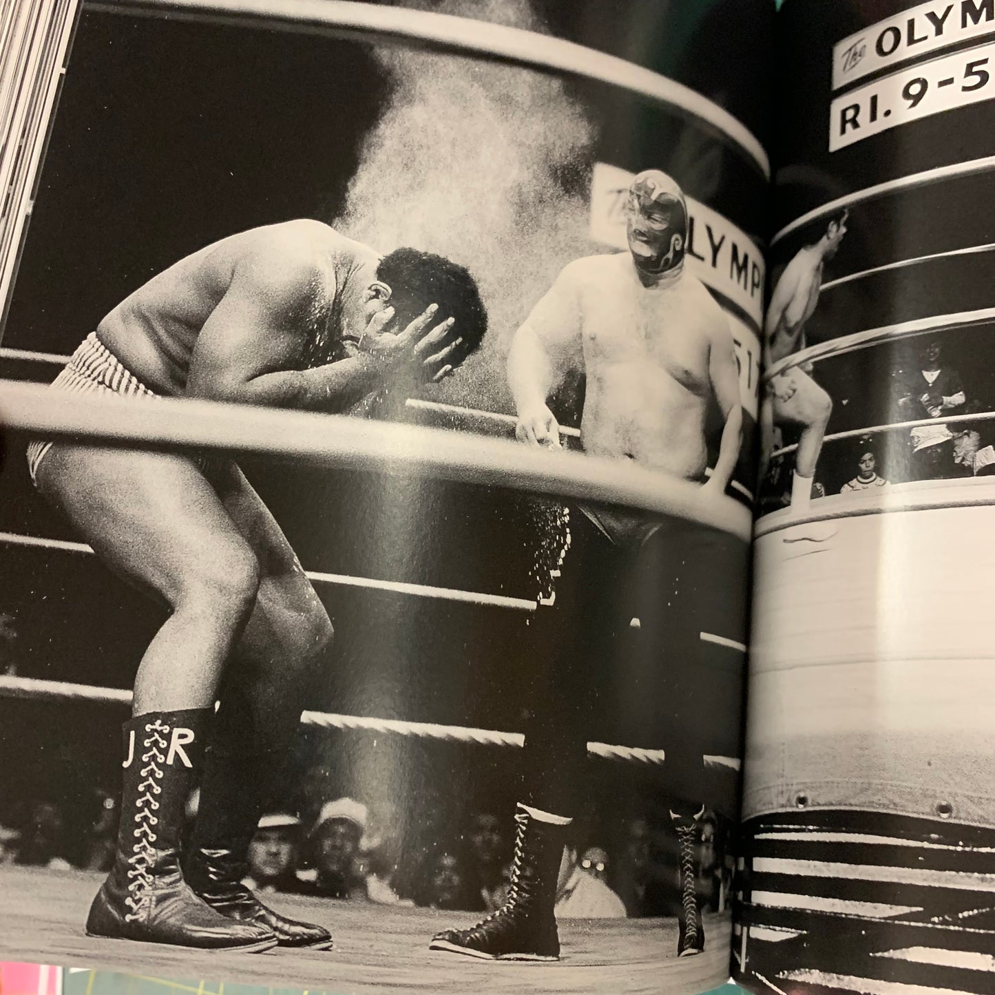 Exquisite Mayhem — The Erotic World of Wrestling