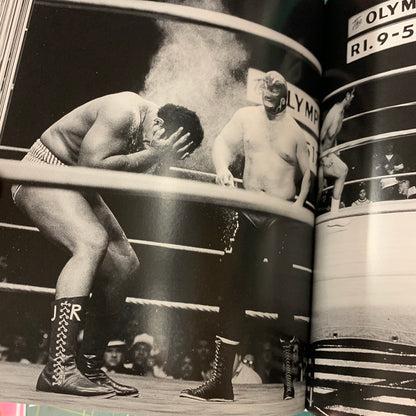 Exquisite Mayhem — The Erotic World of Wrestling