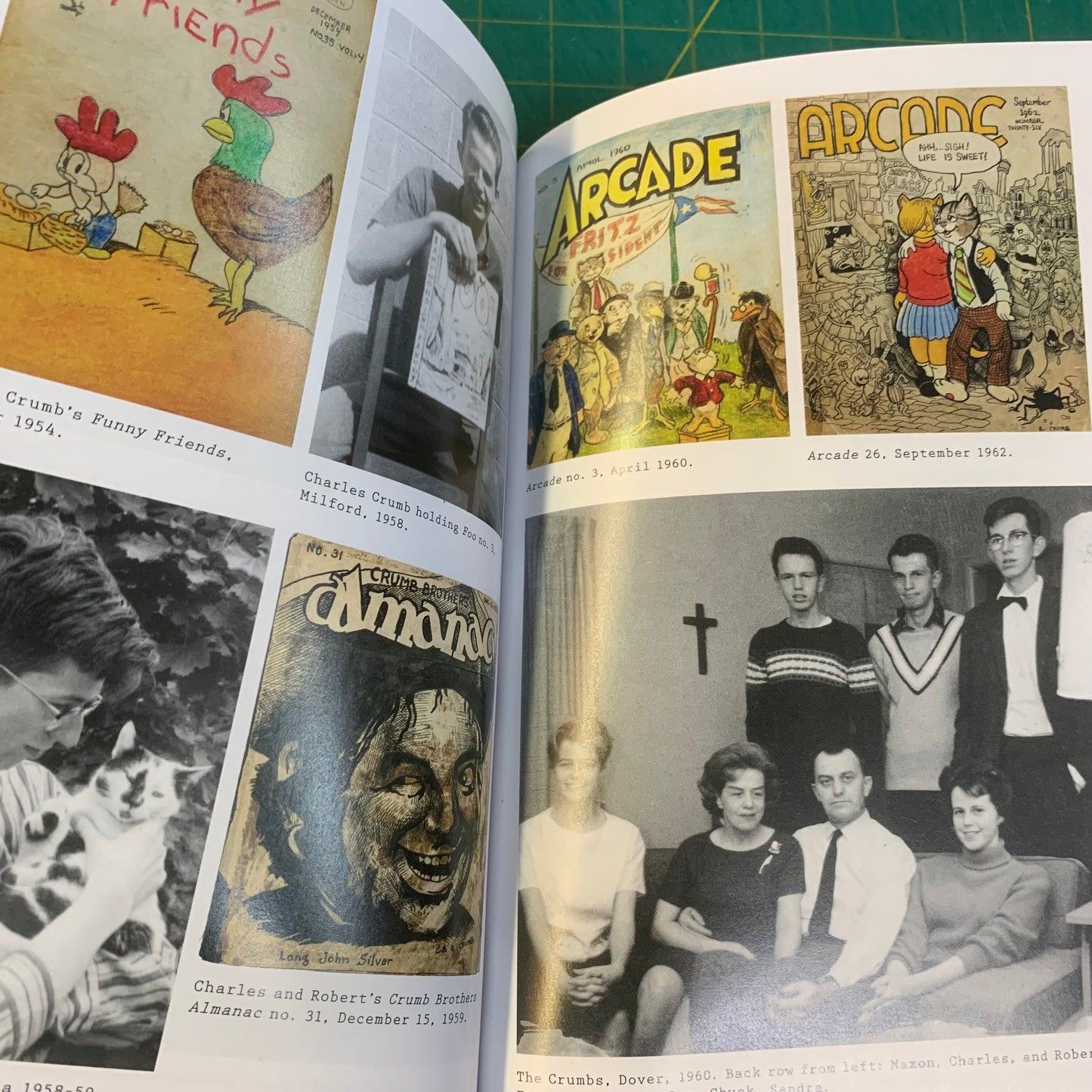 Crumb: A Cartoonist's Life