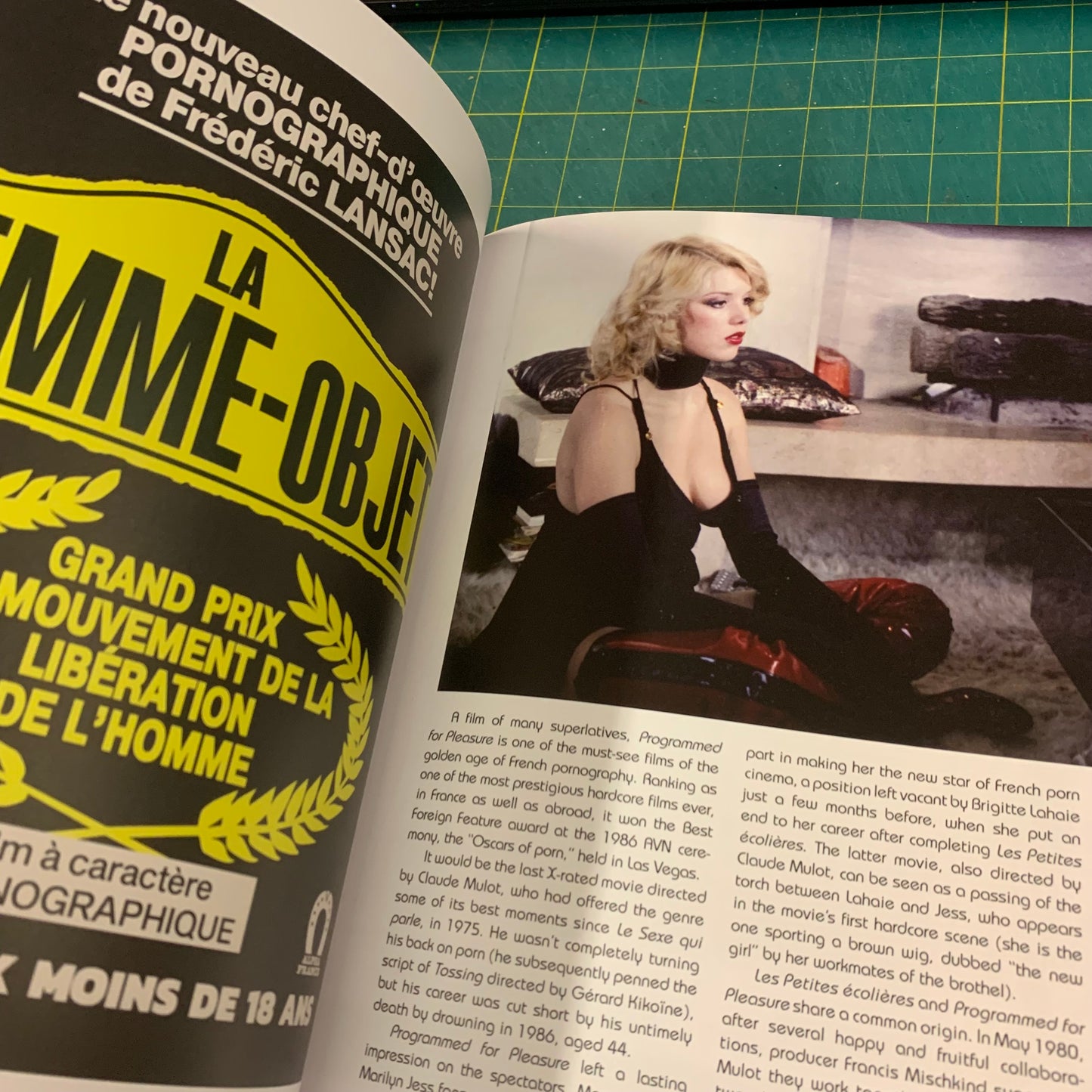 The Cult Films of Marilyn Jess