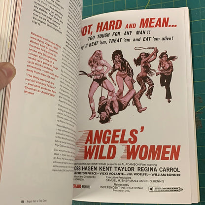 The big book of biker flicks