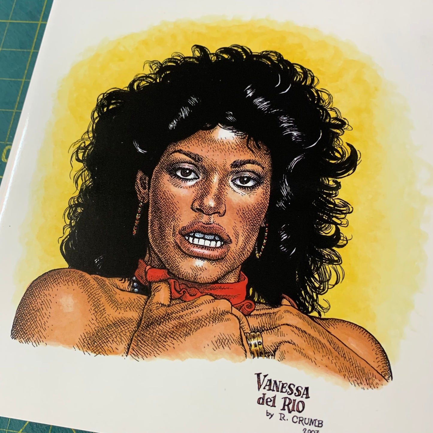 Vanessa del Rio - Fifty years of slightly slutty behavior (Slipcase/DVD)