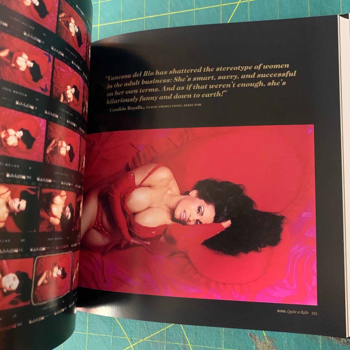 Vanessa del Rio - Fifty years of slightly slutty behavior (Slipcase/DVD)