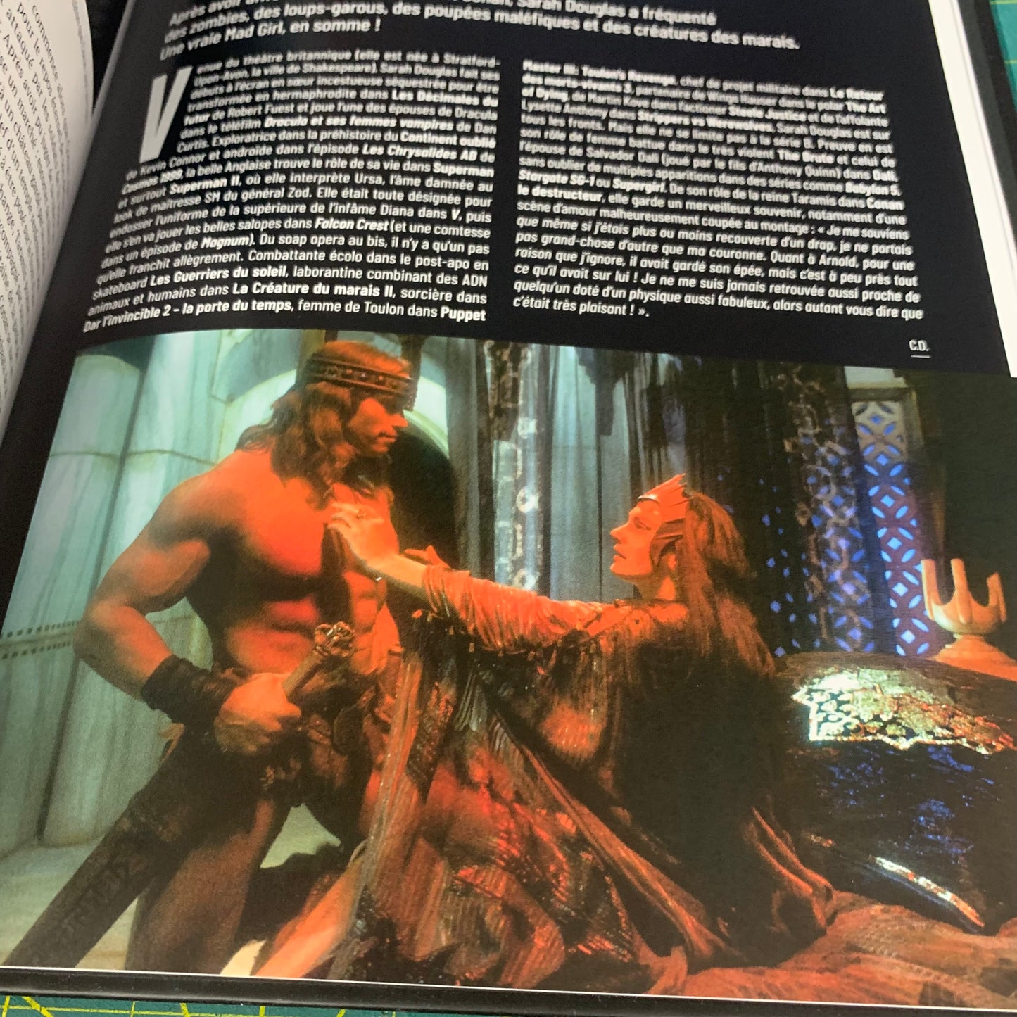 Conan - La saga barbare du roi de l'héroic fantasy