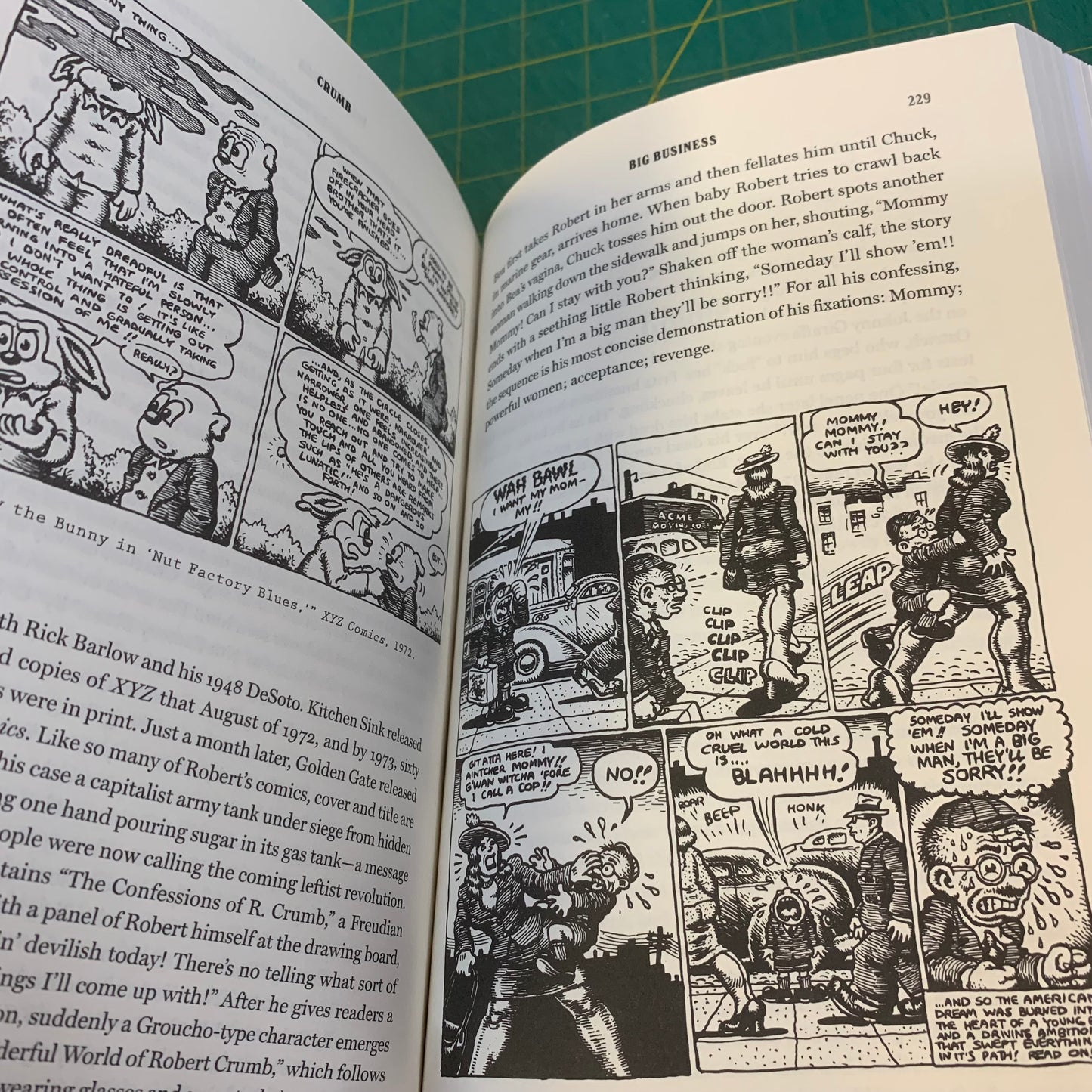 Crumb: A Cartoonist's Life