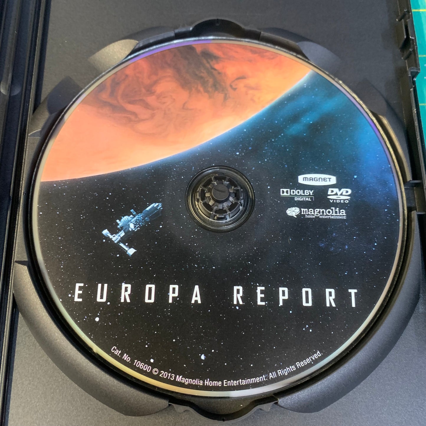 The Europa Report