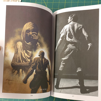 Steve Holland - The torn shirt sessions