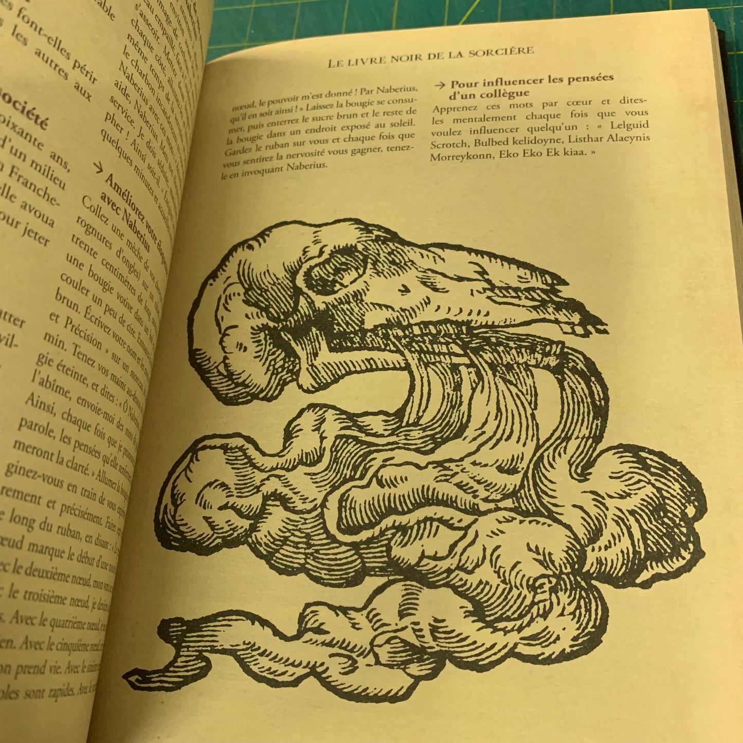 Le Livre Noir de la Sorcière
