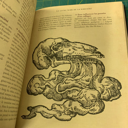 Le Livre Noir de la Sorcière