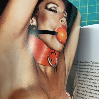 Vanessa del Rio - Fifty years of slightly slutty behavior (Slipcase/DVD)