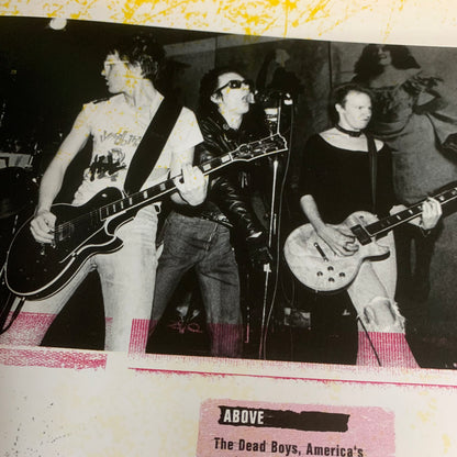 Punk Tees: The Punk Revolution in 125 T-Shirts