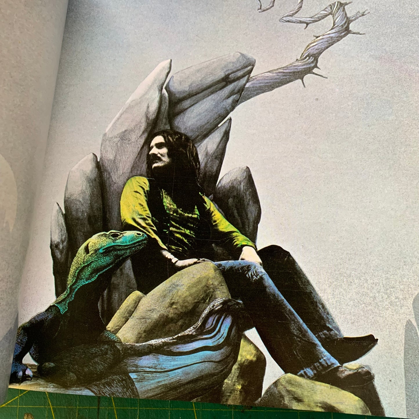 Views : Art and Industrial Design of Roger Dean