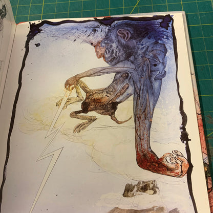 Gonzo The Art — Ralph Steadman