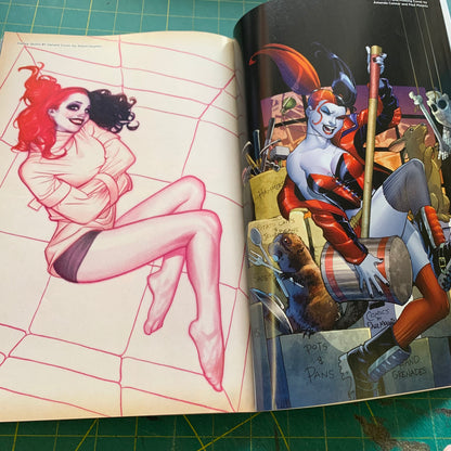 Harley Quinn Vol. 1: Hot in the City (The New 52)