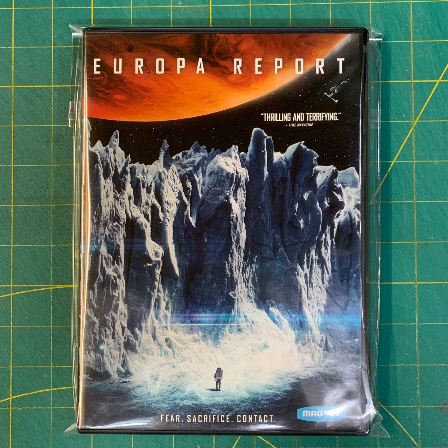 The Europa Report