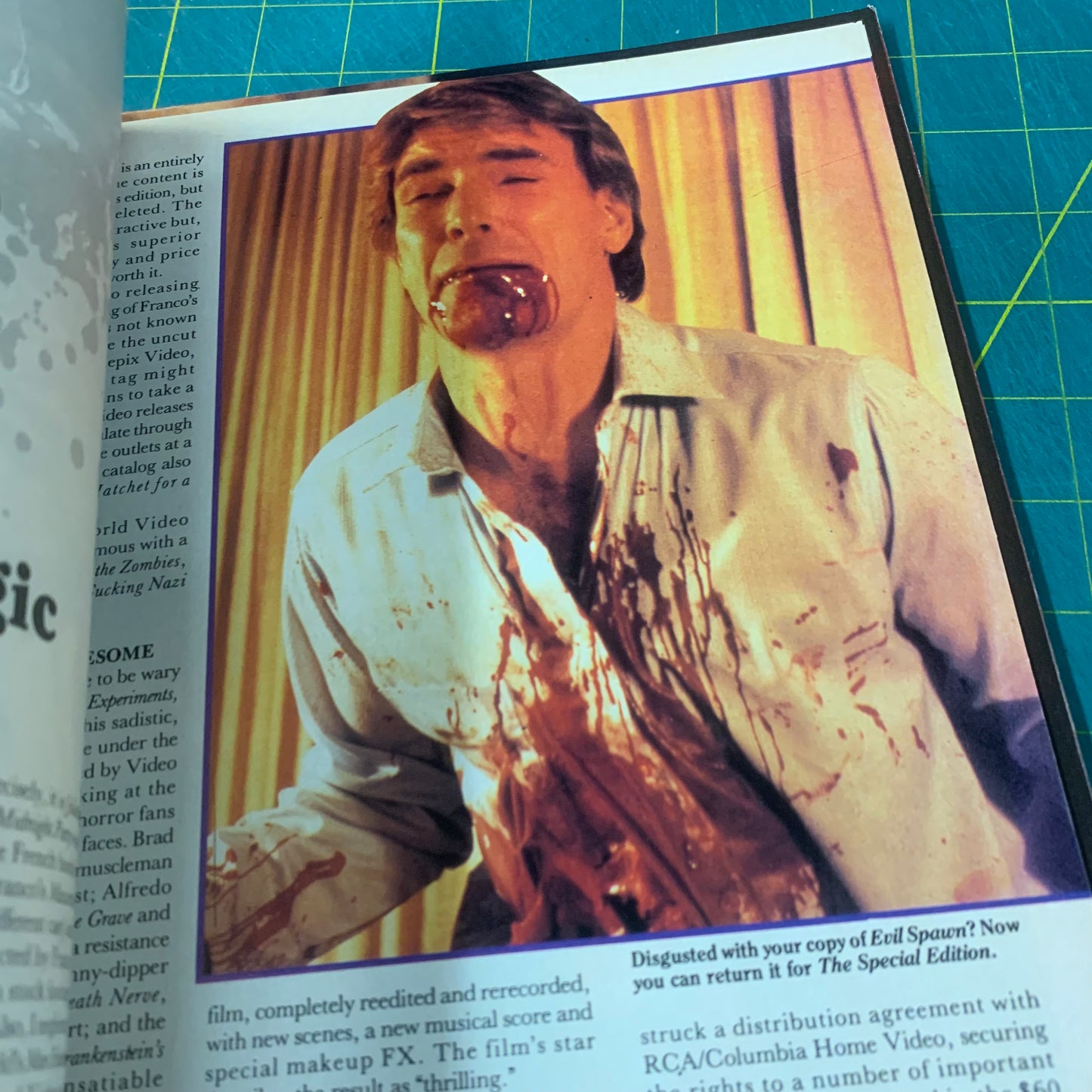 GoreZone no. 6