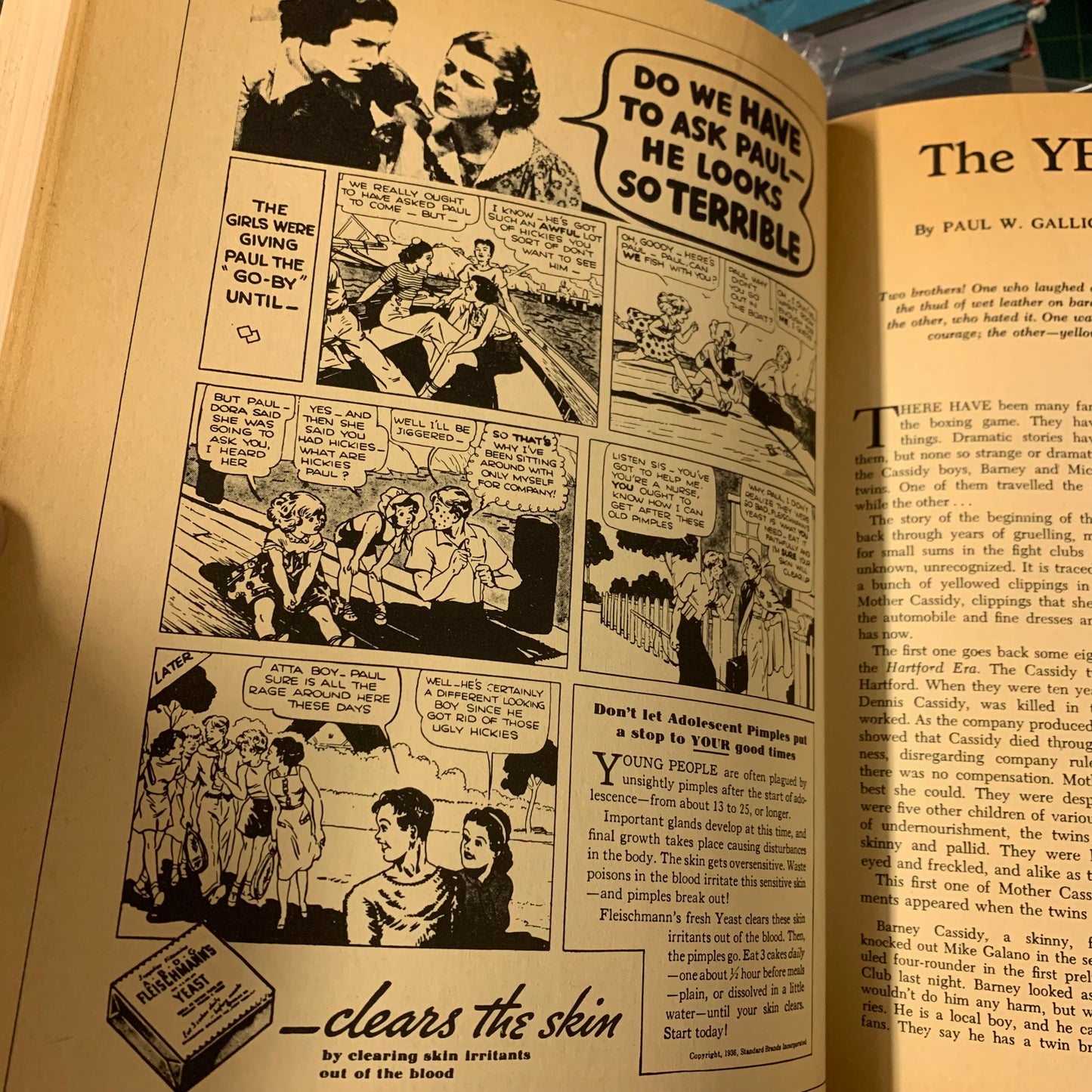 The Pulps - Fifty Years of American Pop Culture