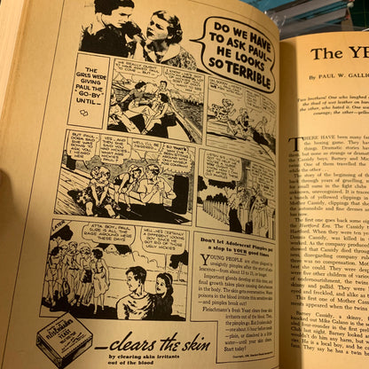 The Pulps - Fifty Years of American Pop Culture