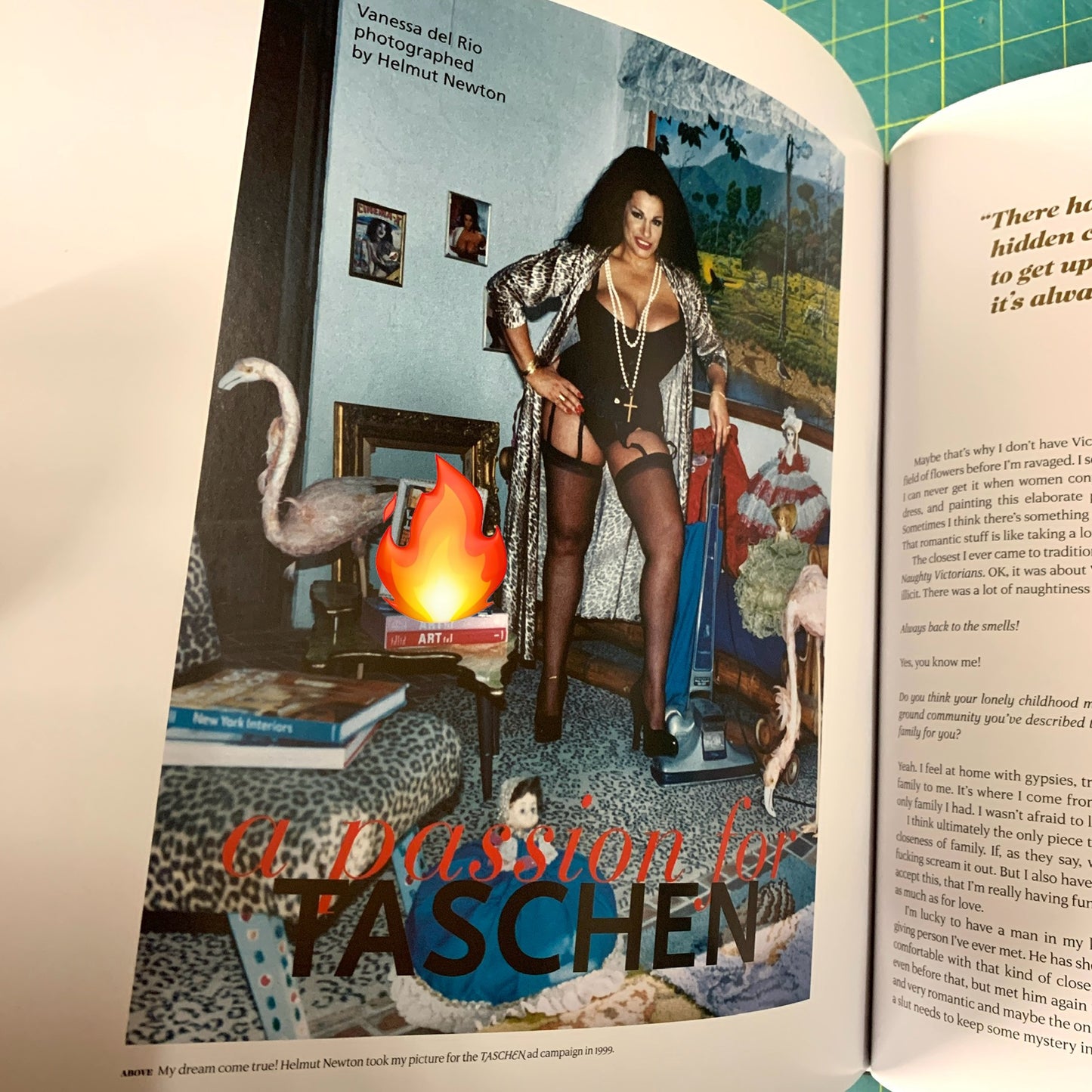 Vanessa del Rio - Fifty years of slightly slutty behavior (Incl. DVD)