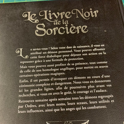 Le Livre Noir de la Sorcière