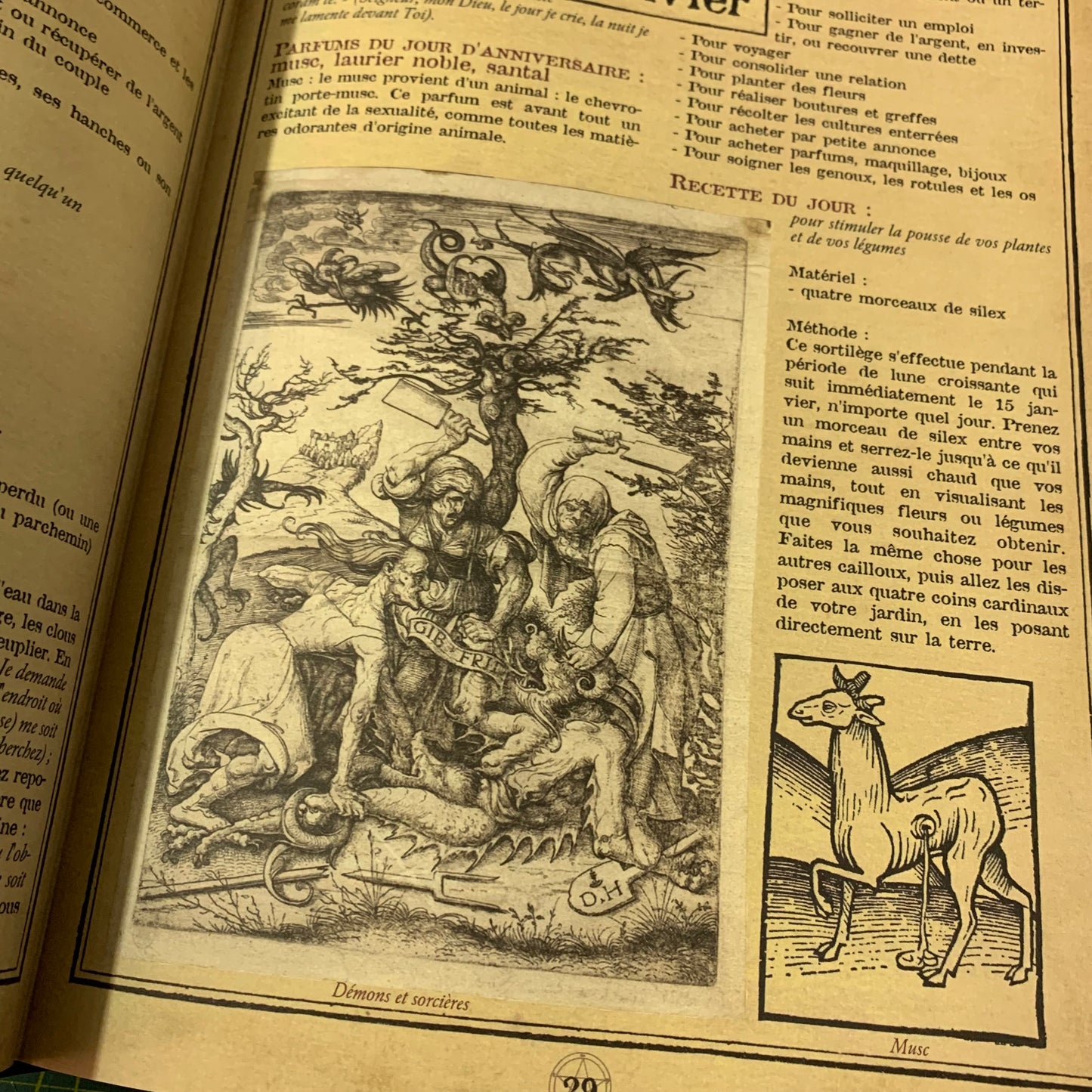 L’Almanach de la Sorcière