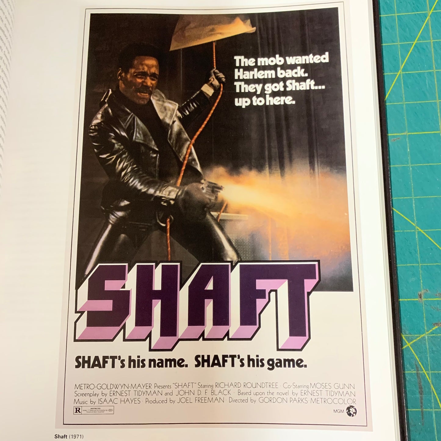 Film Posters — Exploitation