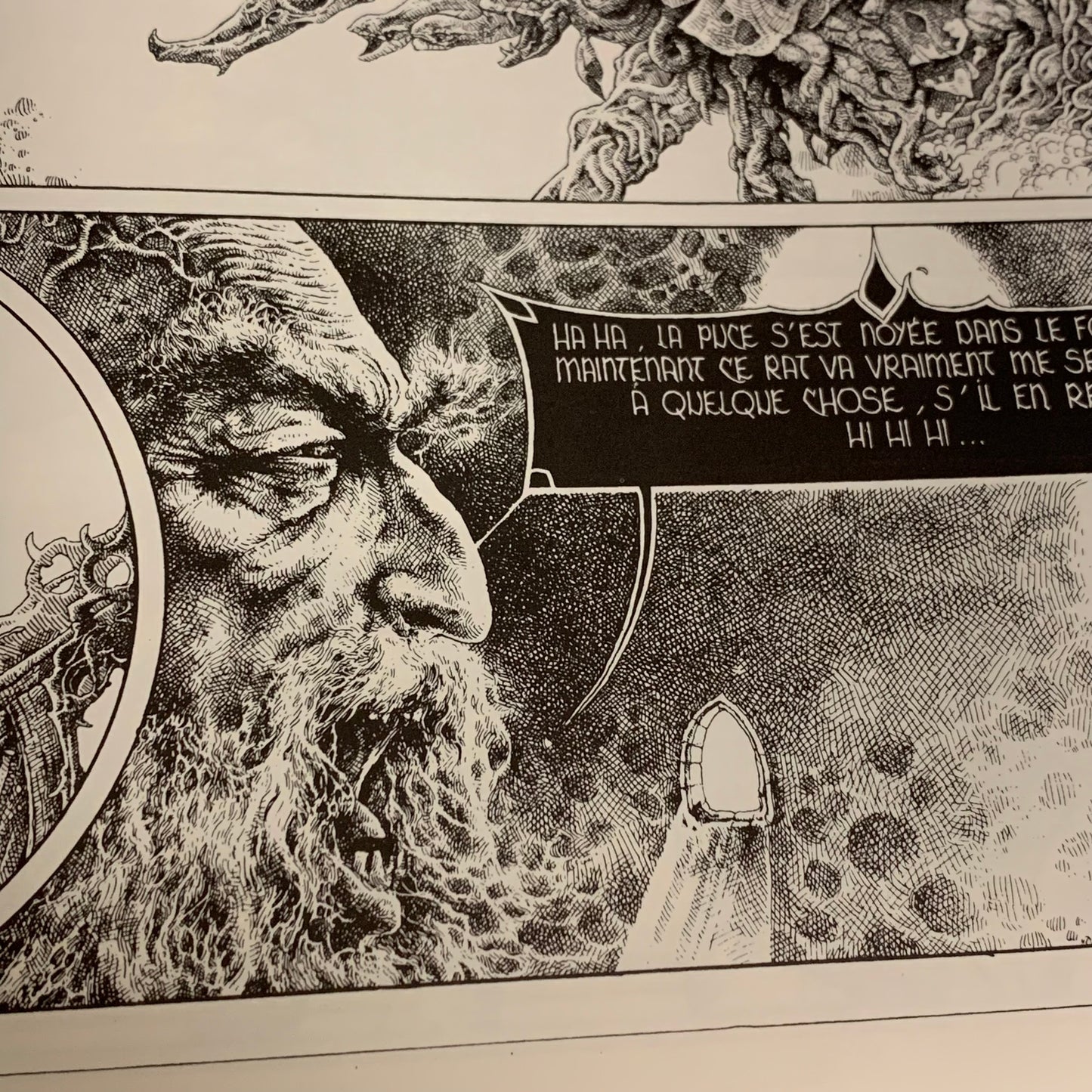 Le Mage Acrylic — Bihannic / Druillet