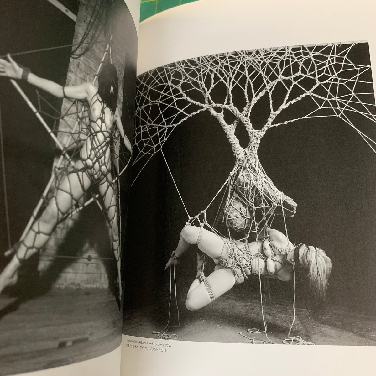 Dark and fetish art