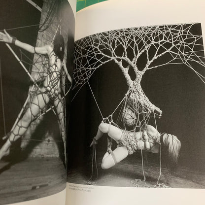 Dark and fetish art