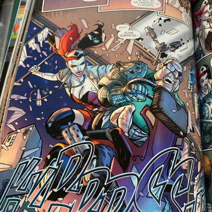 Harley Quinn Vol. 1: Hot in the City (The New 52)