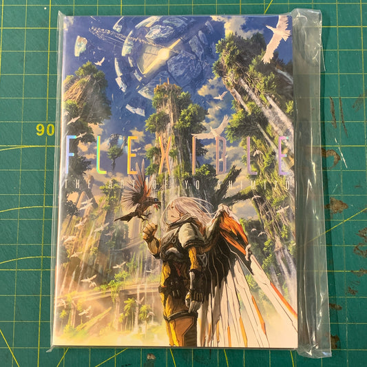 Flexible – The art of Yo Shimizu