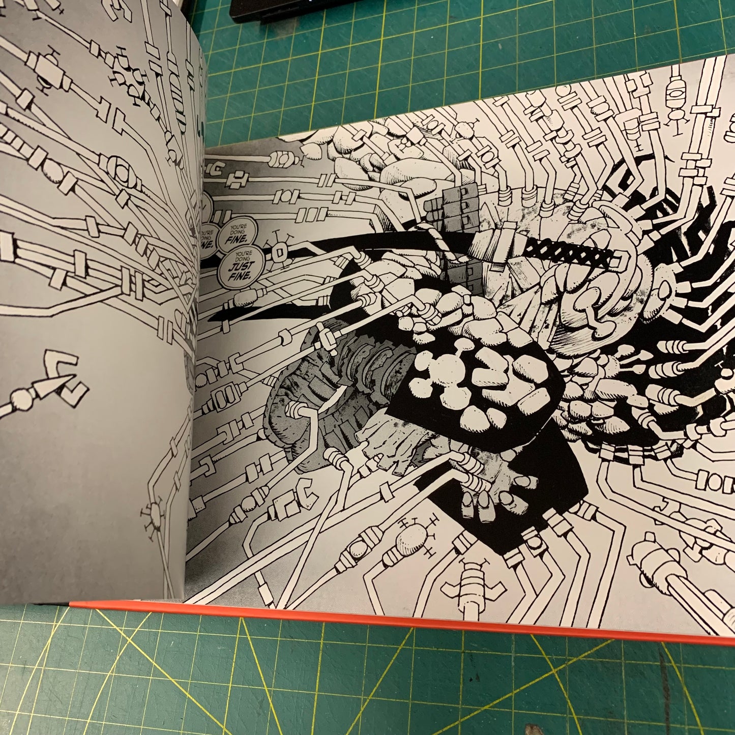 Frank Miller’s Ronin Rising - Collector’s Edition