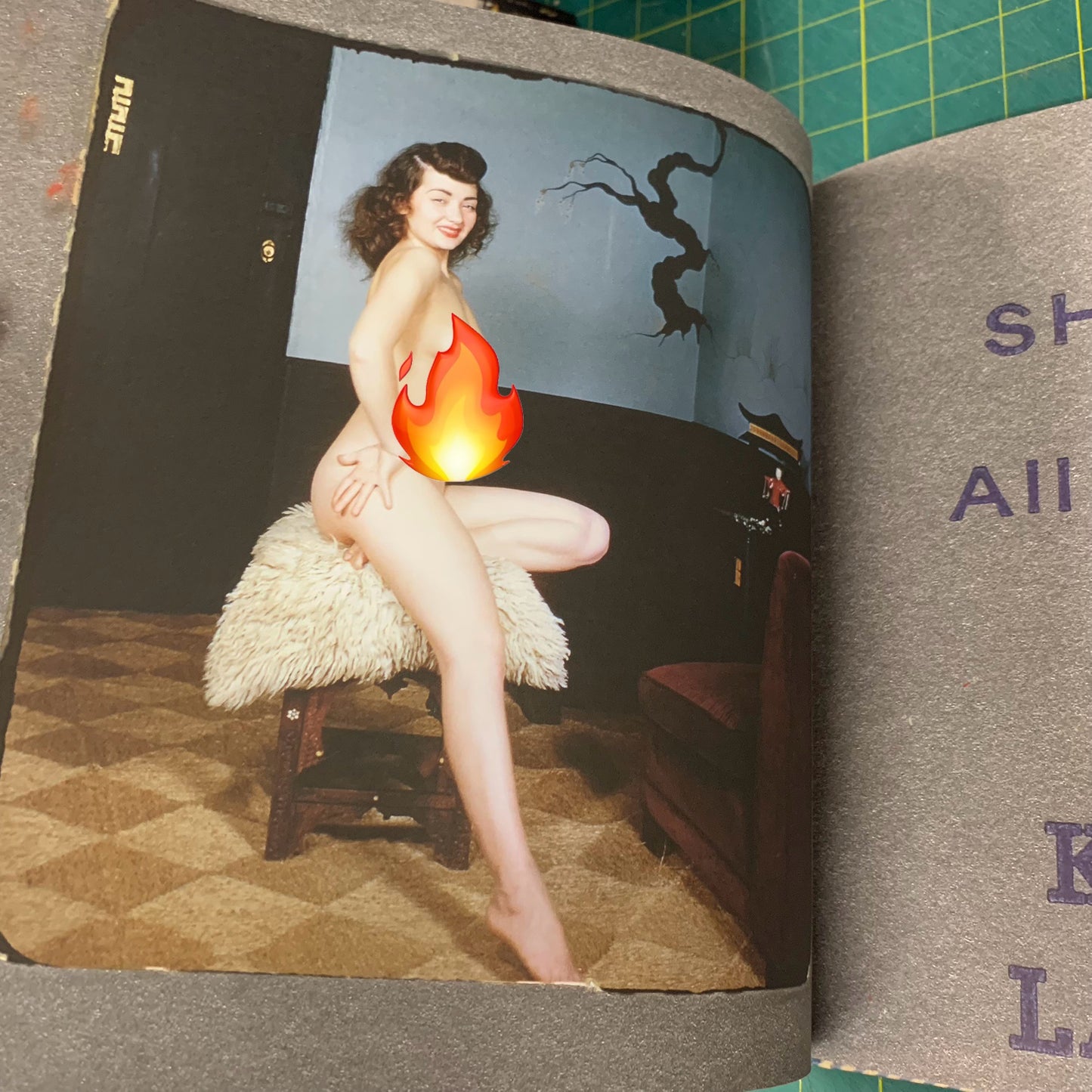 Gil Elvgren's Private Stock