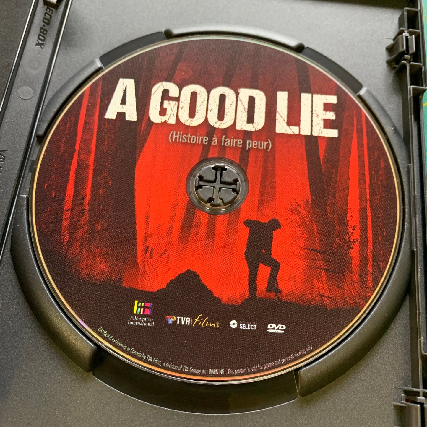 Histoire à faire peur (A Good Lie)