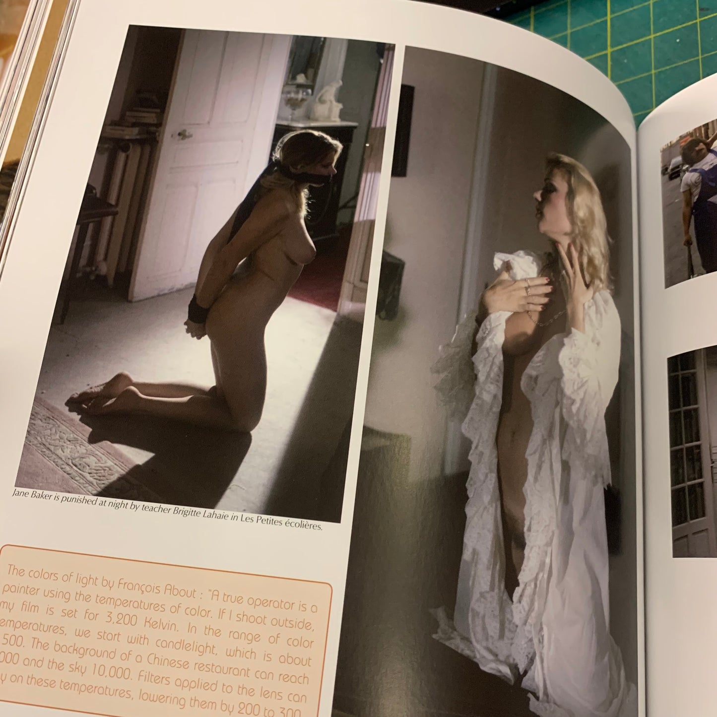 The Cult Films of Brigitte Lahaie