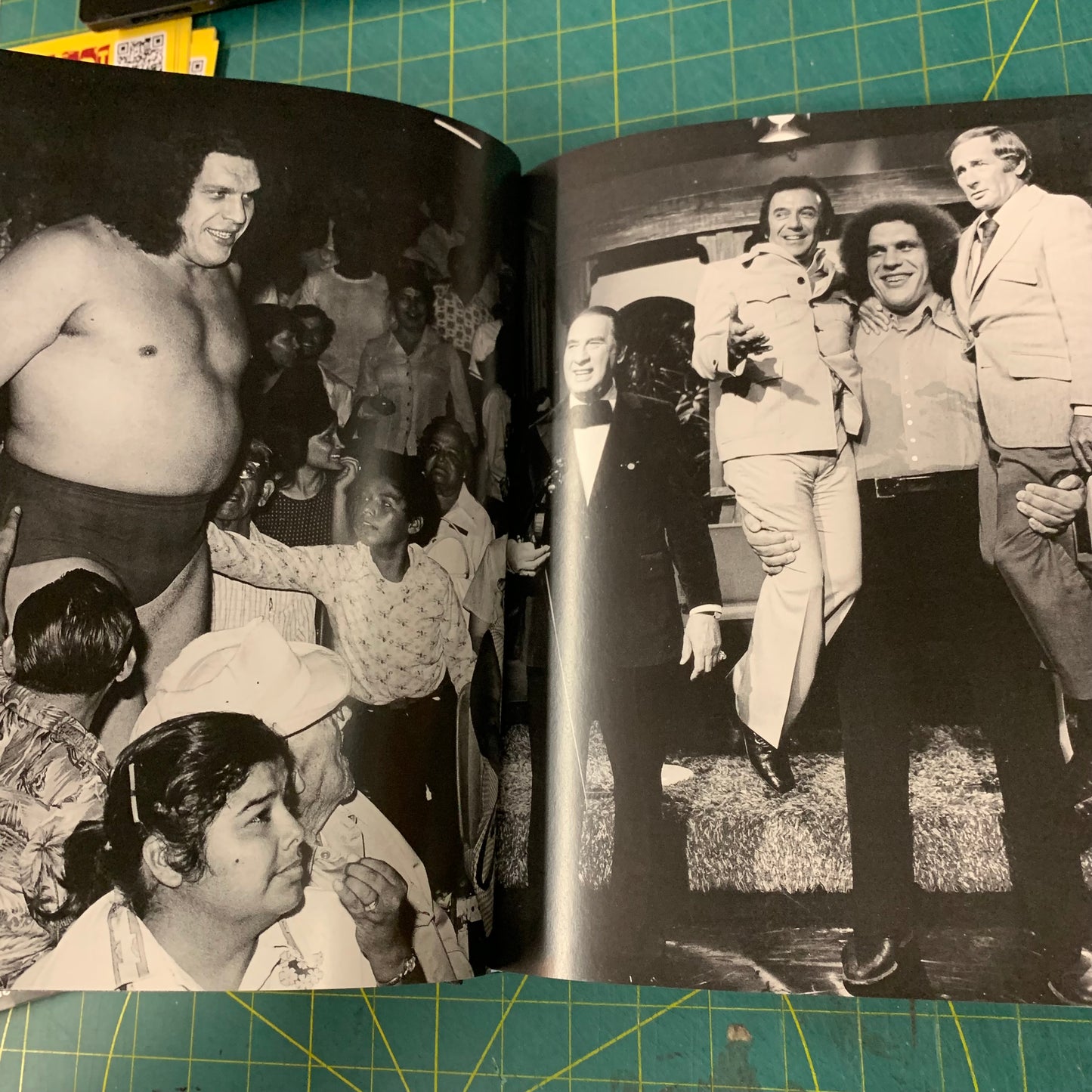 Exquisite Mayhem — The Erotic World of Wrestling