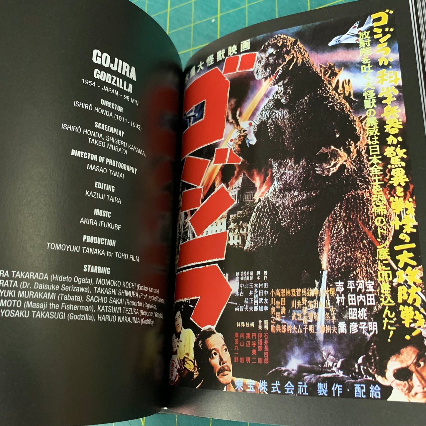 Horror Cinema — The Best Scary Movies of all Time