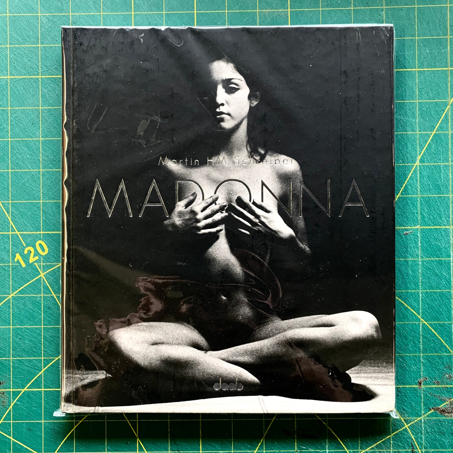 Madonna Nudes II - 2015 by Martin Schreiber