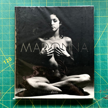 Madonna Nudes II - 2015 by Martin Schreiber