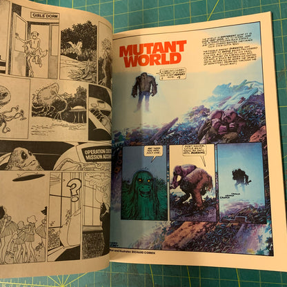 Lot Warren 2 nos. 1984 / 1994